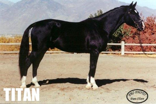 405412_310970878951817_323611703_n